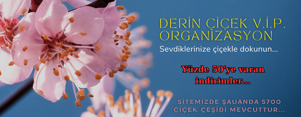 Orkideler